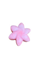 Natural Soy Wax Melts