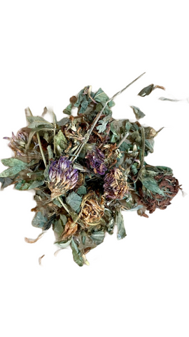 Red clover