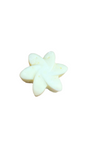 Natural Soy Wax Melts