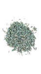 Fennel