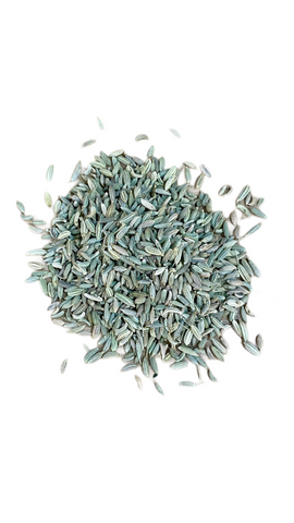 Fennel